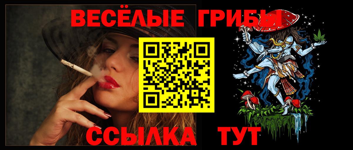 Псилоцибиновые грибы мицелий  Вход с VPN  Прокопьевск 