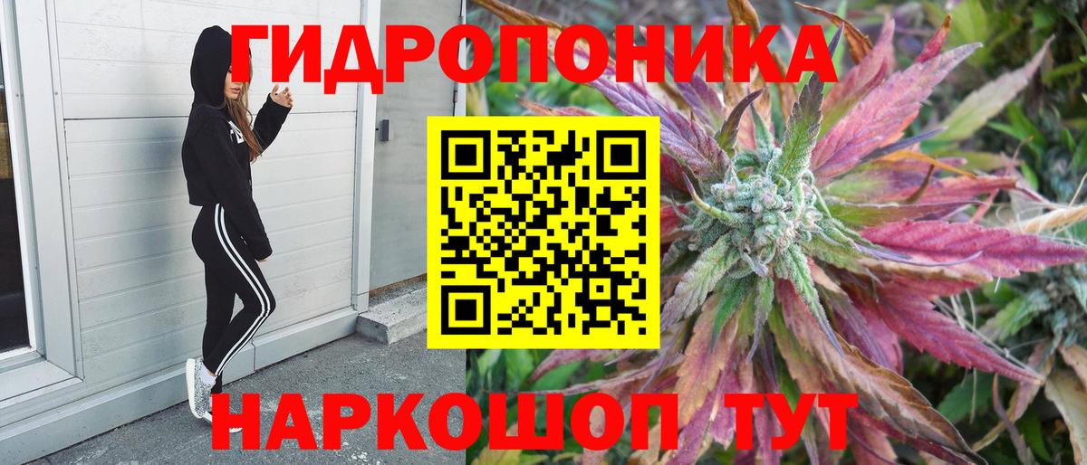 Марихуана Bruce Banner  Вход с VPN  Марихуана планчик  Прокопьевск 
